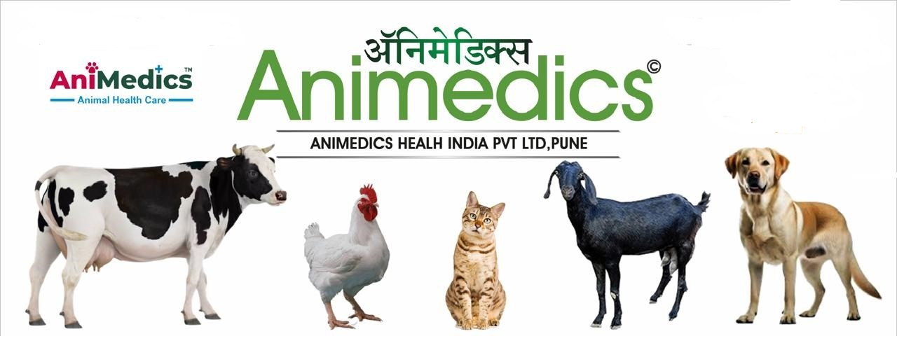 Promotional banner for Animedics, a leading veterinary CRO in India specializing in animal health research